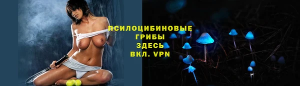 соль курить ск Вяземский