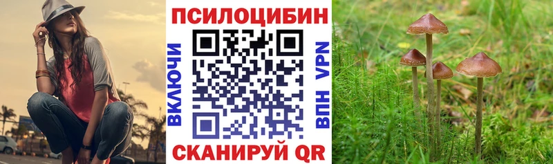 Псилоцибиновые грибы прущие грибы Новоржев